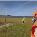 mise en place de bac de sable pour favoriser la nidification des abeilles sauvages terricoles observées lors du suivi écologique au sein d'une centrale photovoltaïque