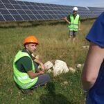 inspection de pierrier par les écologues lors du suivi écologique de la centrale PV