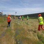 journée autour de la biodiversité sur la centrale photovoltaïque REDEN de Samazan